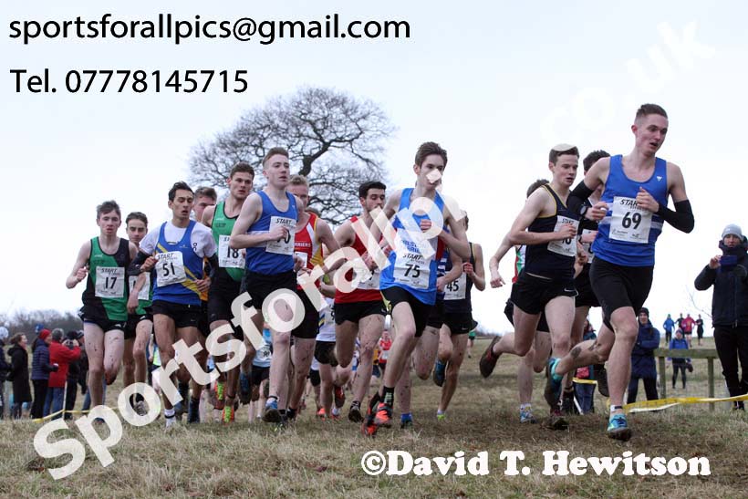 Junior men, 2018 Northern Cross Country Champs., Harewood House, Leeds. Photo: David T. Hewitson/Sports for All Pics